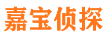 襄城市私家侦探